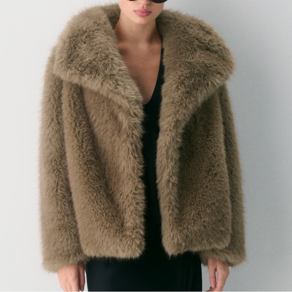 aritzia jacket